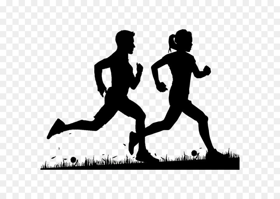 HS cross country practice will start Monday, August 10th at 7pm at Hamilton High School. Any HS boy or girl interested in cross country should email Coach Neisen at neisenb@hhs328.com. All athletes must have a physical on file. Physical forms and Emergency Information Forms are mandatory and available at https://hhs328.com/parent-forms/