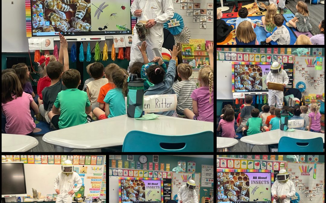 Beekeeping in Kindergarten